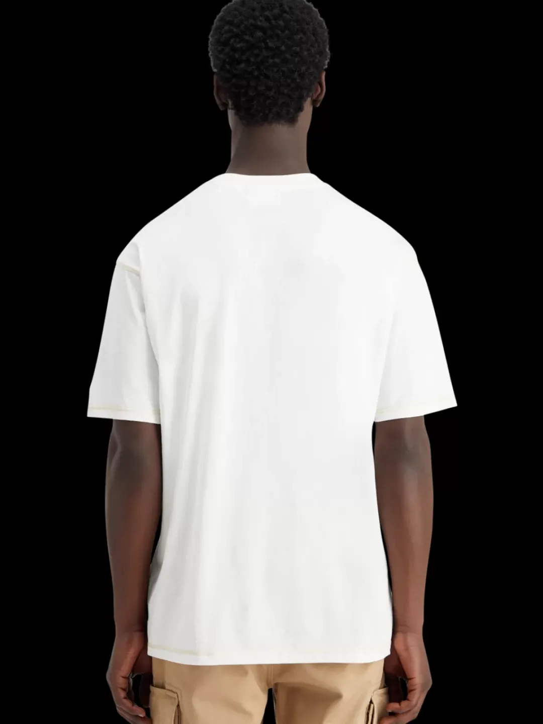 Clearance Scotch & Soda Relaxed fit applique artwork t-shirt Swan